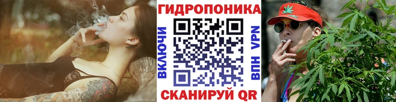 Шишки марихуана марихуана  купить   Бодайбо 